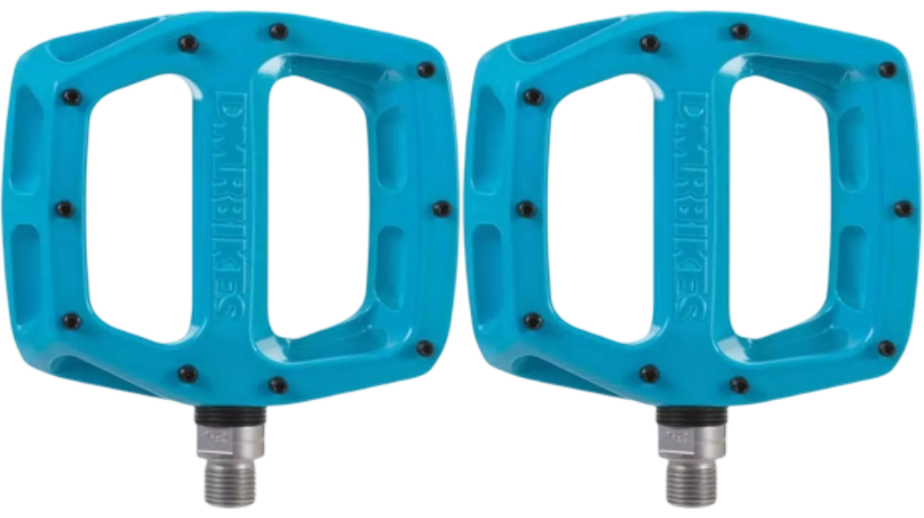 DMR V12
