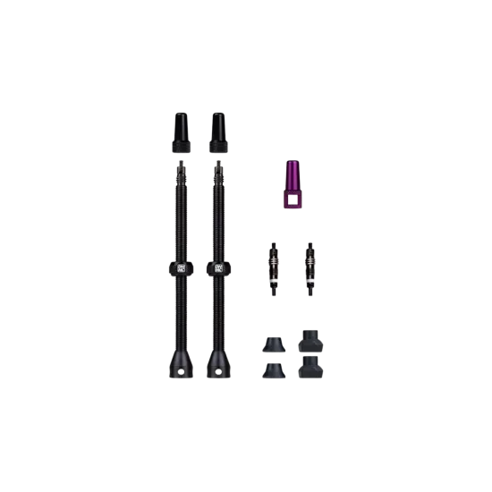 DYNAMIC BARKEEPER TUBELESS VALVE