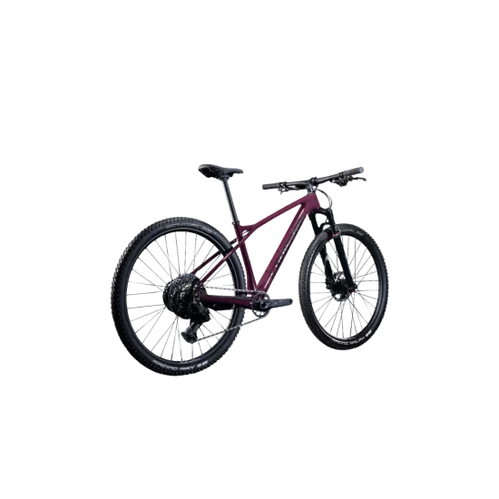 Lapierre Prorace CF 6.9 Midnight Plum Carbone 29" | LesEquipiers