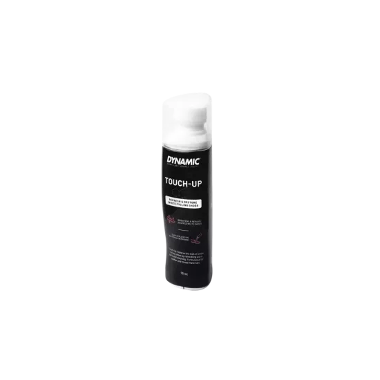 dynamic touchup  75ml  DYNAMIC  LES ÉQUIPIERS